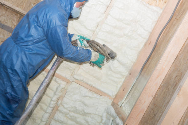 Types of Insulation We Offer in Cicero, IL